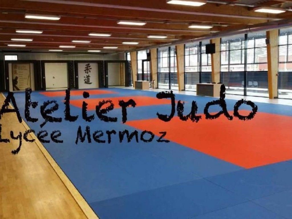 Image de l'actu 'Atelier Judo lycée Mermoz de Montpellier'