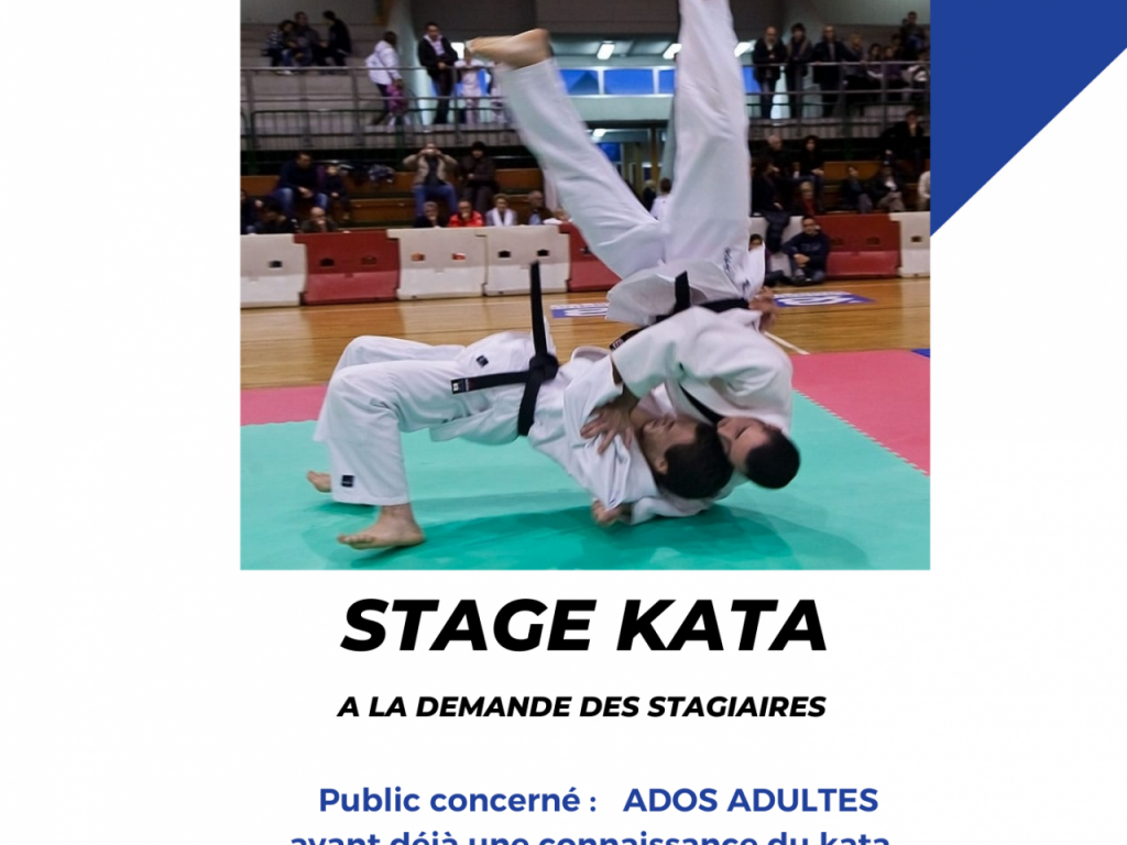 Image de l'actu 'Stage départemental ju jitsu et kata'