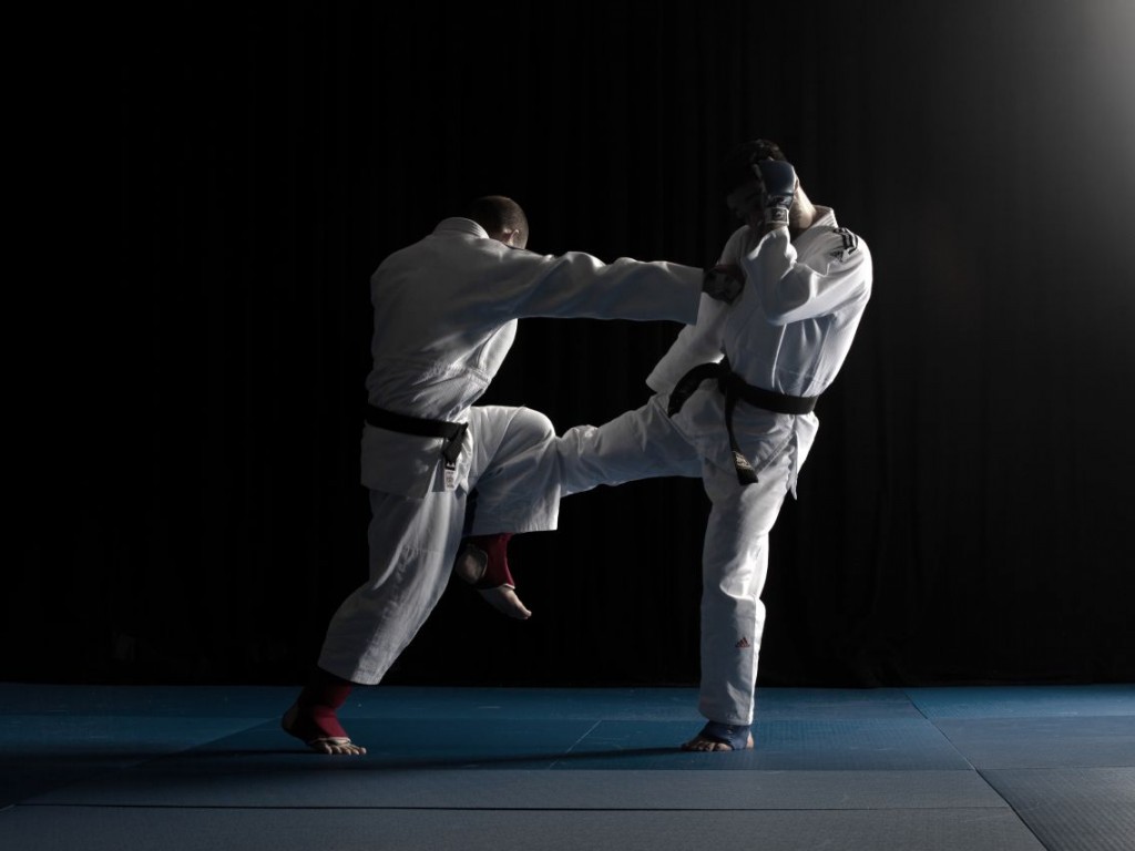 Image de l'actu 'Entrainement Judo-Jujitsu - 28 mars 2025'