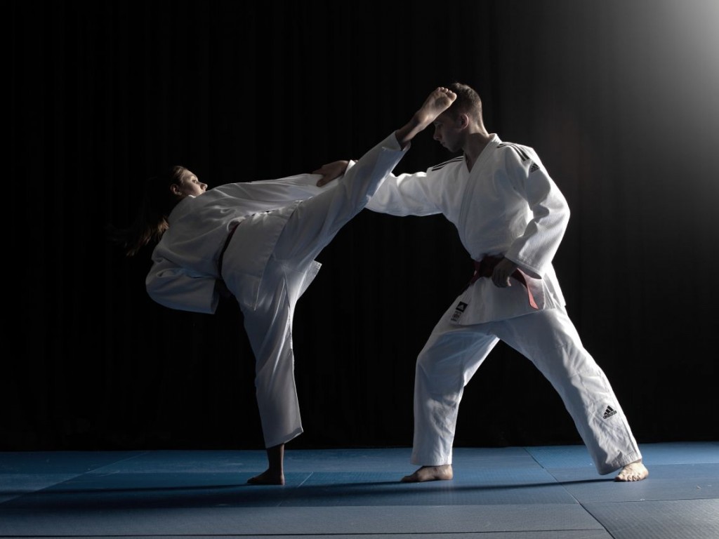 Image de l'actu 'Stage Jujitsu – 7 mars 2026 à Frontignan'