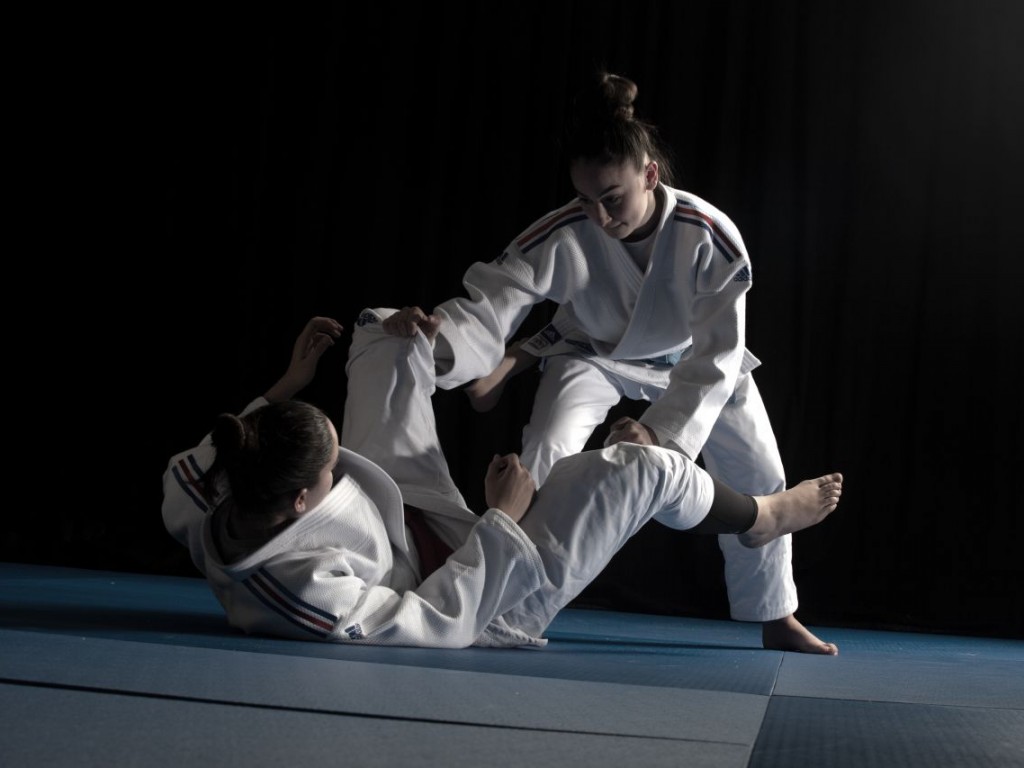 Image de l'actu 'Entrainement départemental JUJITSU mercredi 29 Janvier 2025 à Saint Jean de Védas'