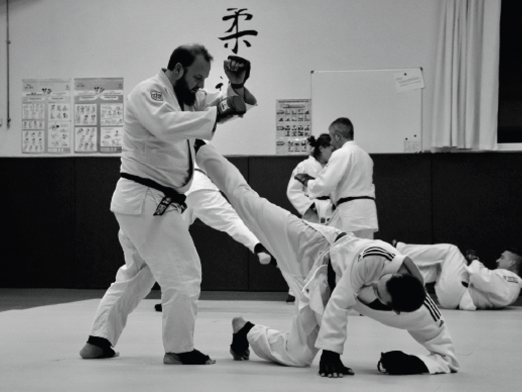 Image de l'actu 'Entrainement Jujitsu - Vendredi 10 Octobre à Monttady'