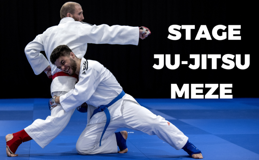 Stage Départemental Ju-Jitsu – Comité Judo Hérault
